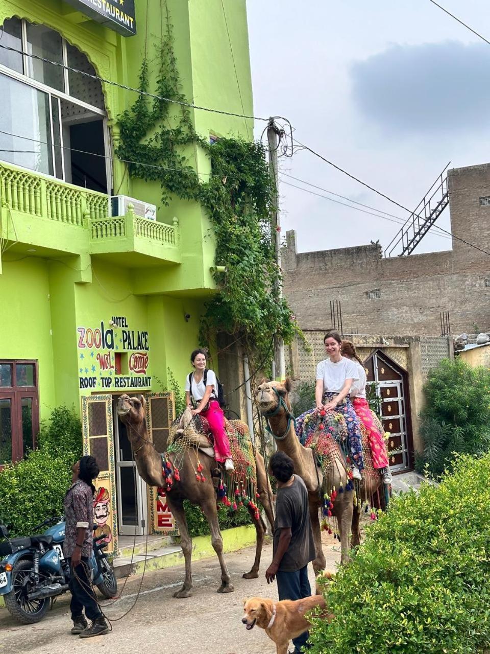 Hotel Zoola Palace Pushkar Zewnętrze zdjęcie